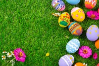 colorful Easter egg on green grass